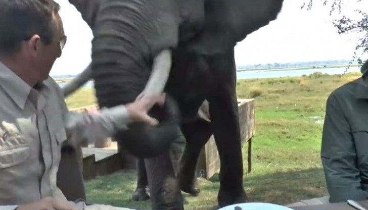 Туристът е починал на място, дъщеря му е леко ранена Туристът е починал на място, дъщеря му е леко ранена