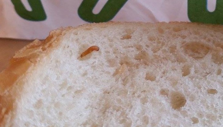 Жена намери в една от филиите в пакета жив червей Жена намери в една от филиите в пакета жив червей