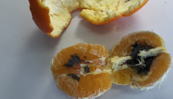 Това няма как да мине за непознат сорт цитрусови плодове