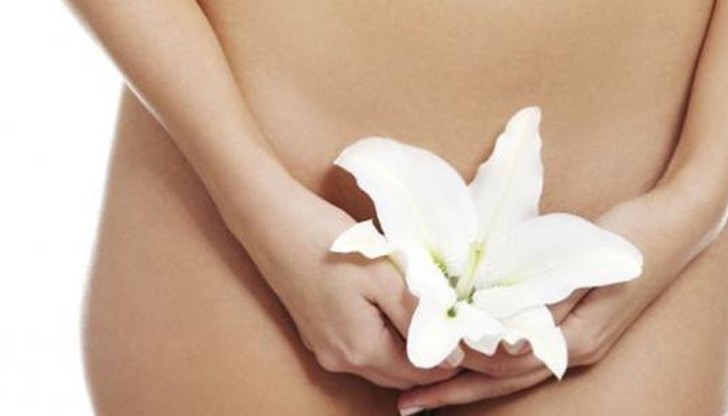 Сред тях е орнамент с триъгълна форма в розово, който особено скандализирал пуританите