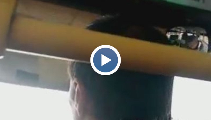 Цялата тази агресия, гарнирана с викове, продължи с минути, успях да снимам само края й