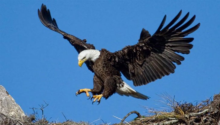 История за мотивацията да продължим напред