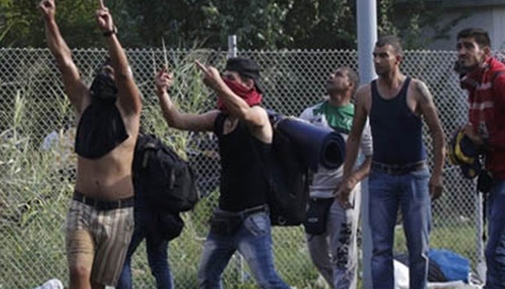 В Германия явно вече ги е ударила здраво съчмата... В Германия явно вече ги е ударила здраво съчмата...