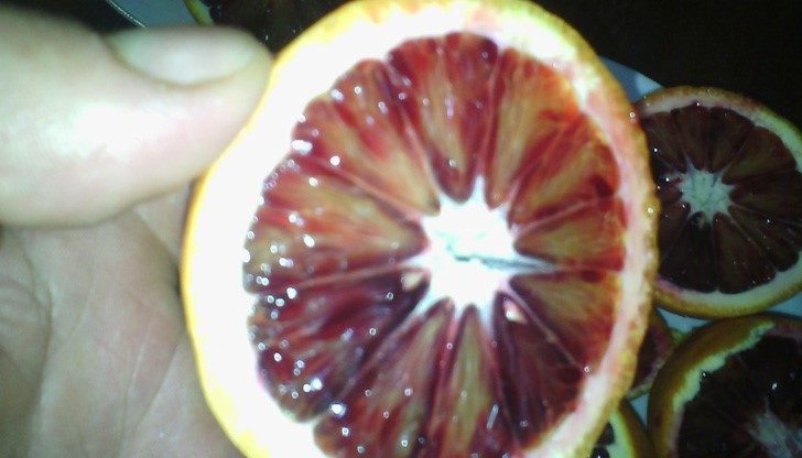 Вижте какви портокали ядем!