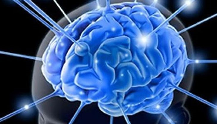 Учените изпозлвали гризачи, при които като ставали още по-агресивни, а в хипокампусите им се появявали нови неврони Учените изпозлвали гризачи, при които като ставали още по-агресивни, а в хипокампусите им се появявали нови неврони