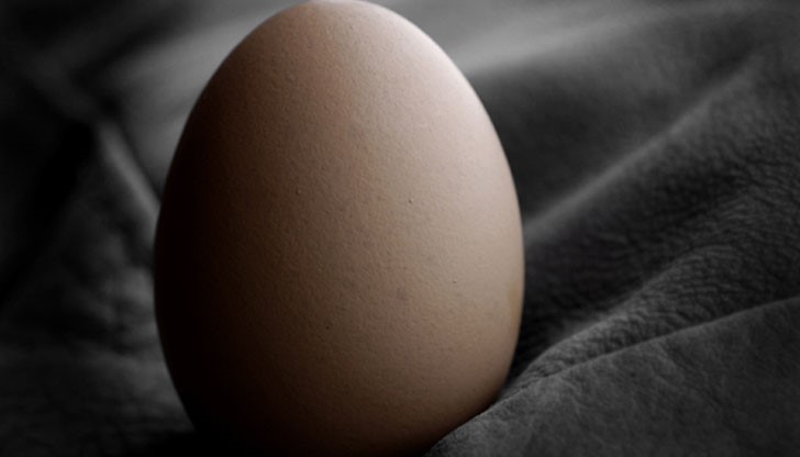 Понякога отговорите са под носа ни, но обикновено търсим най-сложните обяснения