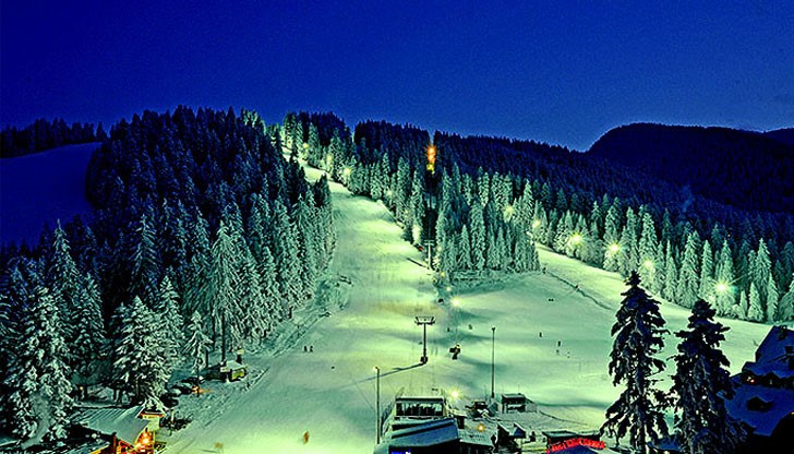 Джанвир Санджу се уплашил, че е сам в гората и се покатерил на бор за през нощта Джанвир Санджу се уплашил, че е сам в гората и се покатерил на бор за през нощта