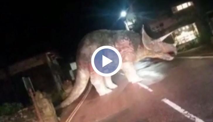 Наложило се служителите по поддръжката на пътищата в района да върнат праисторическото животно обратно в парка