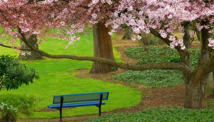 Слънчев и спокоен ден Слънчев и спокоен ден