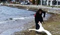 Оказа се, че туристката, която едва не уби лебед не е българка