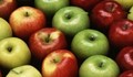 Спешно етикираха 22 тона македонски ябълки влизащи в България