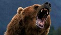 Разярена мечка уби двама селяни