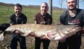 Рибари уловиха „водното чудовище”
