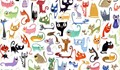 Тест: 99 котки и едно куче - опитайте да го откриете!