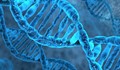 Древен вирус "дреме" в човешката ДНК и може да "възкръсне"!
