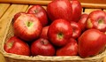 Любопитни факти за ябълките