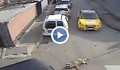 Камери заснеха автомобилът, който влачи куче