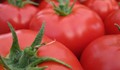 Българският домат със 70 процента по-скъп от вносния