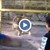 Цигани малтретират животни в старозагорския зоопарк