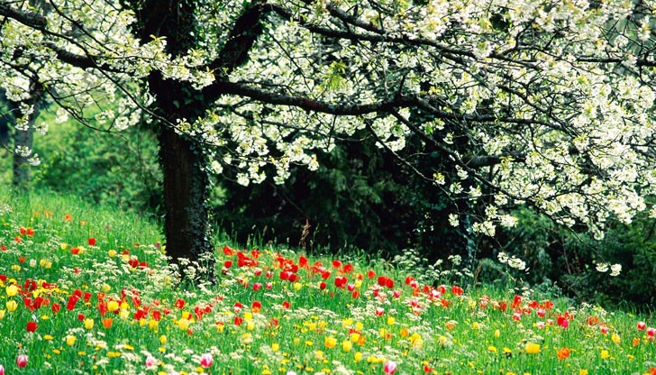 По-високи от обичайните температури се очакват през първото десетдневие