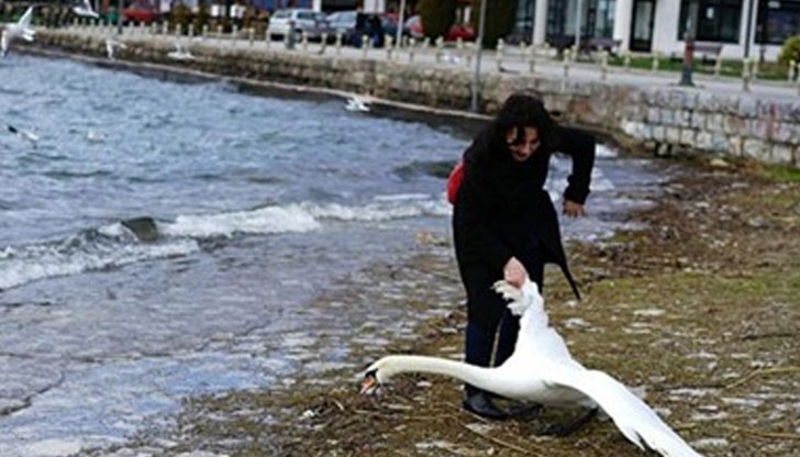 Жестокост по български/ Снимката е илюстративна Жестокост по български/ Снимката е илюстративна