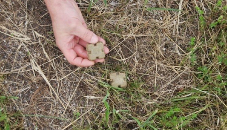 От днес  започва първата за 2016 ваксинация по въздух срещу бяс при дивите хищници