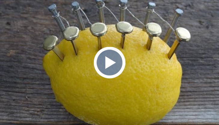 Може да се запали огън с помощта на лимон, няколко медни и цинкови пирона и парче тел