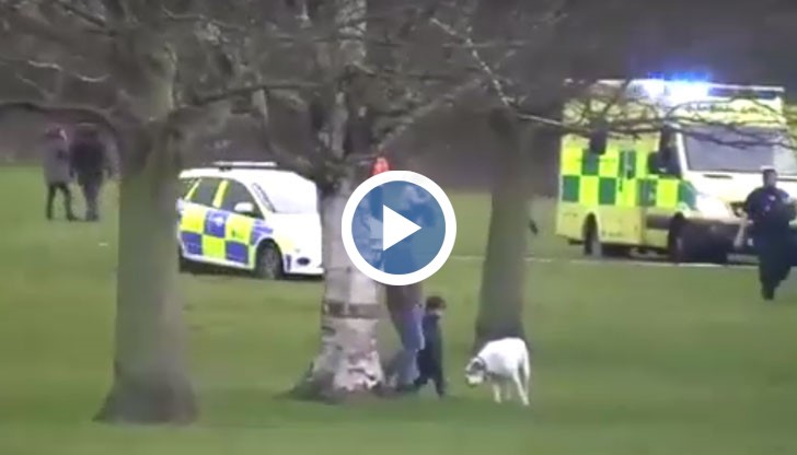 Бурен вятър откъснал замъкът от придържащите го въжета и го отнесъл на 150 метра