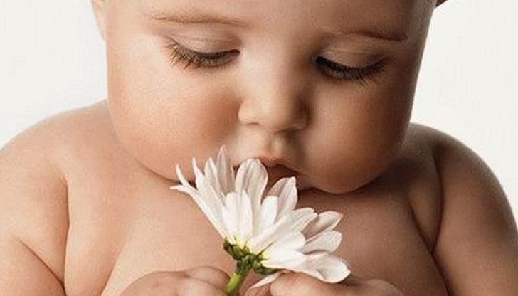 Скъпи, приятели, партньори и съмишленици, обръщаме се към Вас с огромна молба за помощ