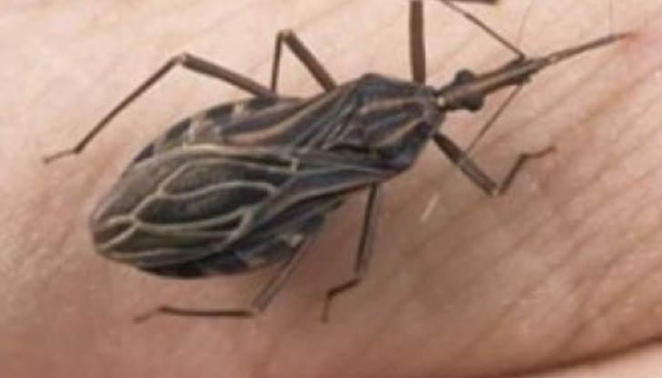 Това е сериозно и опасно. Не игнорирайте предупрежденията.