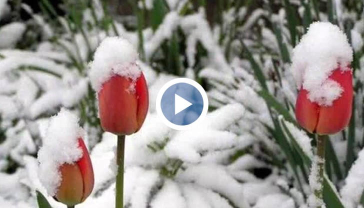 Вижте кога ще вали?