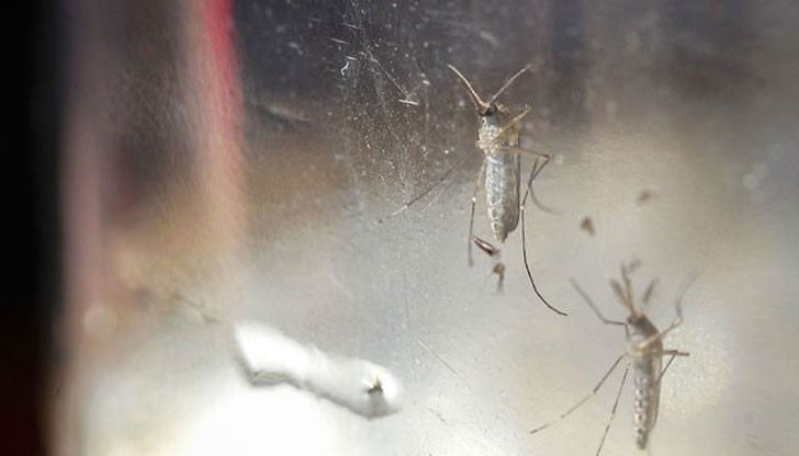 Това е първият смъртен случай в Латинска Америка Това е първият смъртен случай в Латинска Америка