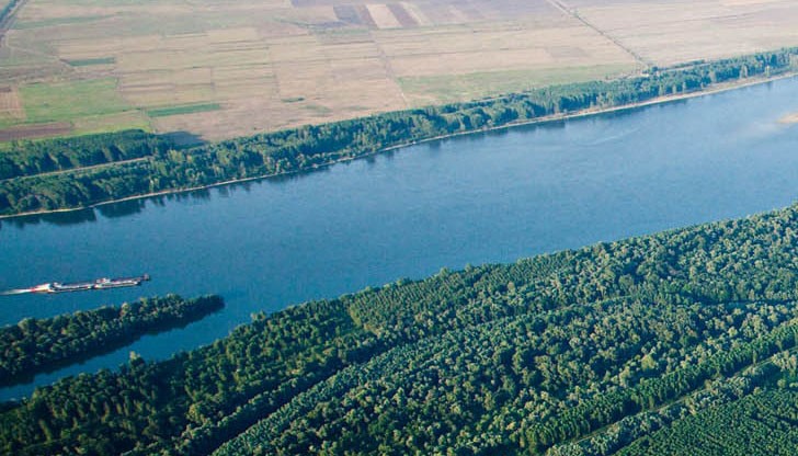 Крайречните гори са буквално заплашени от изчезване у нас Крайречните гори са буквално заплашени от изчезване у нас