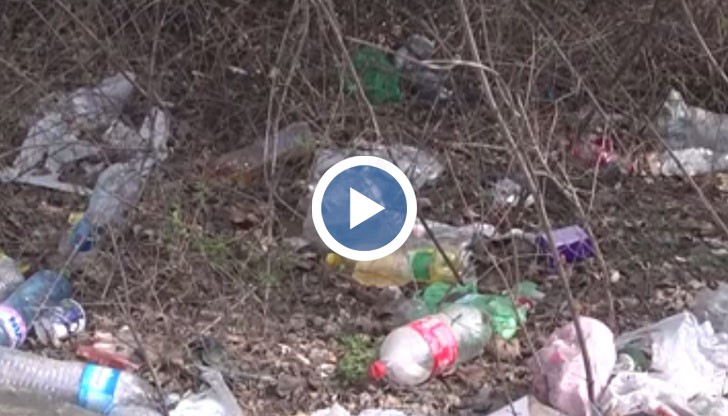 В импровизирани сметища са се превърнали зелените площи край булевард "България"