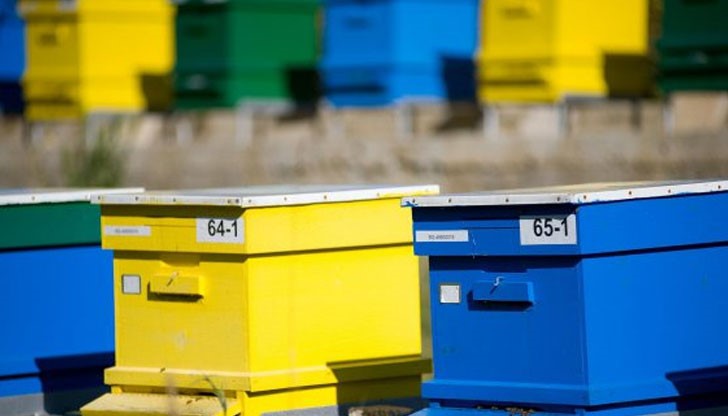 Заявената щета е на стойност за около 1000 лева