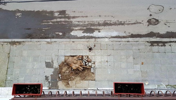 Неприбран дънер на дърво на улица "Омуртаг"