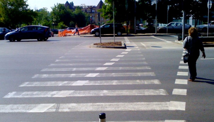 Надписи "Погледни" и "Погледни наляво" ще красят зебрите Надписи "Погледни" и "Погледни наляво" ще красят зебрите