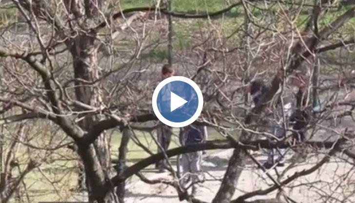 Деца разрушават детска площадка, за да предадат частите й за старо желязо