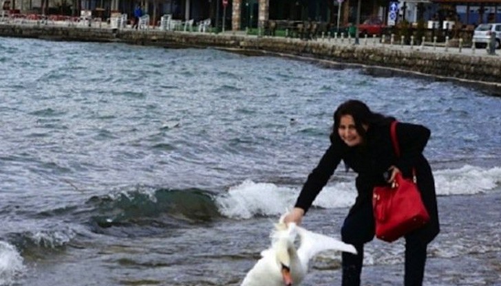 След като се снимала с него, туристката ни го е оставила на брега, където птицата е починала