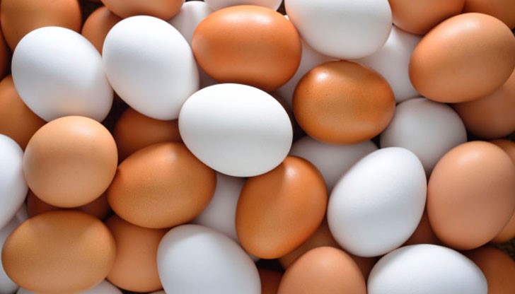 Търговци ударно внасят яйца от Франция и Полша заради наближаващия Великден