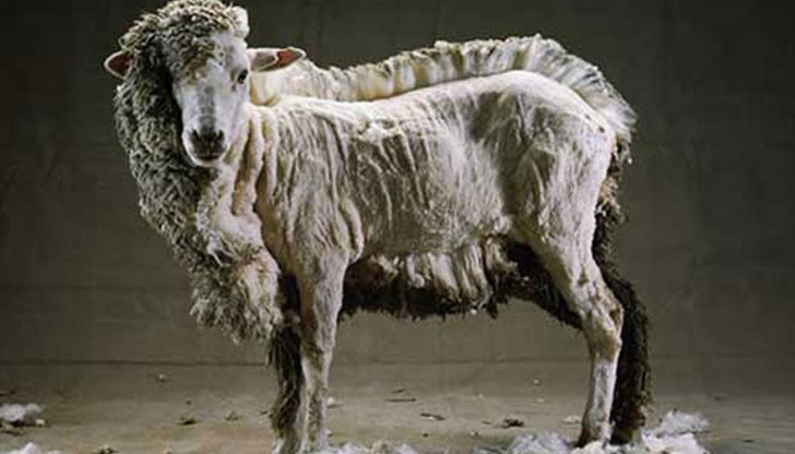 Защо хората бягат в чужбина, където трябва да плащат високи данъци? Защо хората бягат в чужбина, където трябва да плащат високи данъци?