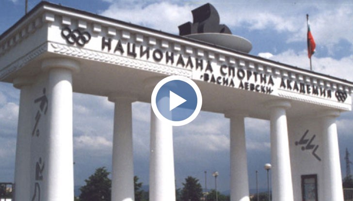 Професор от НСА предлага секс на адреналинката Ваня, за да вземе изпит