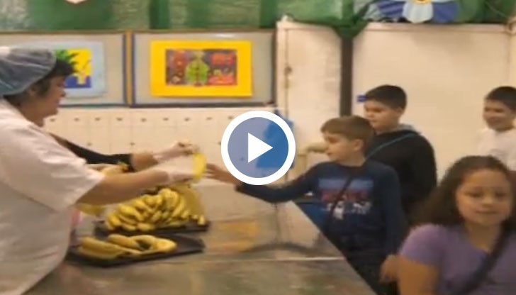 В Русе пчелари предоставят уроци за отглеждане на пчели и производството на мед