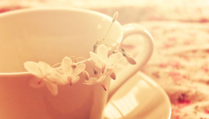 Приятна почивка! Приятна почивка!