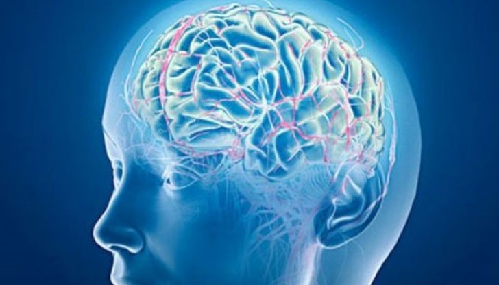 Нейробиката е психологически упражнения, които напомнят фитнес за мозъка
