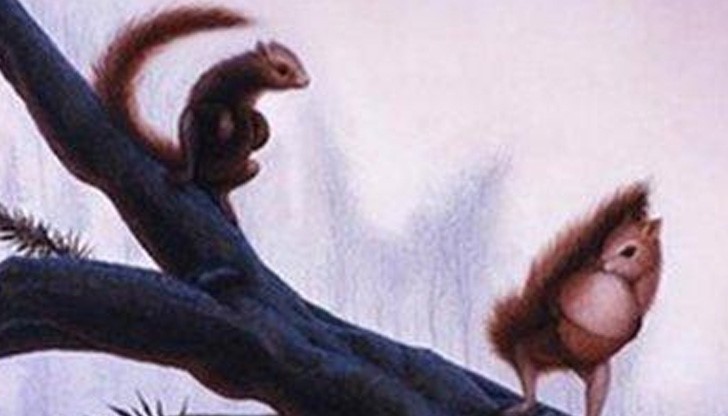 Сподели какво виждаш на снимката и погледни отговора!