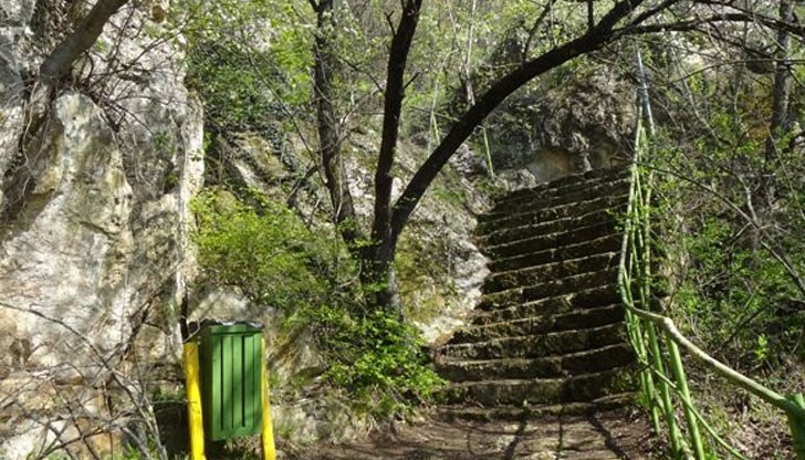 Прилепите, обитаващи природната забележителност „Орлова чука“, са излезли от състояние на хибернация (зимен сън) Прилепите, обитаващи природната забележителност „Орлова чука“, са излезли от състояние на хибернация (зимен сън)