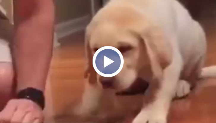 Веднага щом чуе „Амин“ Калуа започва да си похапва.