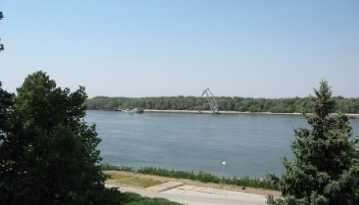 Дейностите са в рамките на проекта „Опазване и възстановяване на крайречни гори“ от WWF България