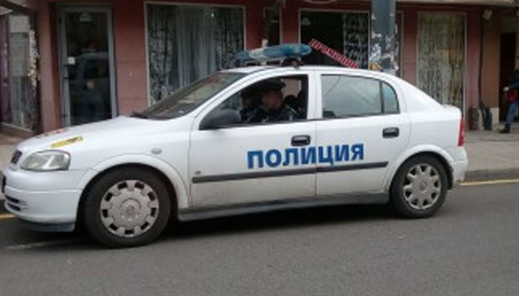 Момчето прострелва кучето с въздушна пушка